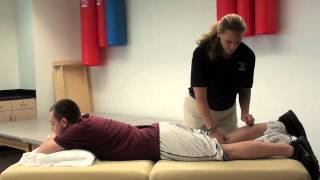 Hamstring reflex [upl. by Hamlani]