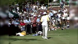 Top 10 Winning Putts on the PGA TOUR [upl. by Rekrap15]