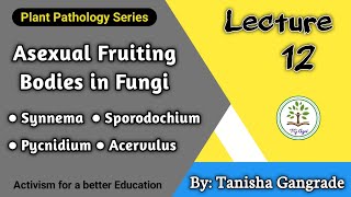 Asexual Fruiting Bodies  Fructification in Fungi  Synnemata  Pycnidium  Acervuli  by Tanisha [upl. by Eyeleen797]