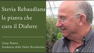 Stevia la pianta che cura il Diabete  Josep Pàmies SubITA [upl. by Enelrihs625]