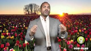 Nuur Daalacay Diigo ciyaaya Best Somali Song 2012 HD [upl. by Rehpotsihc]