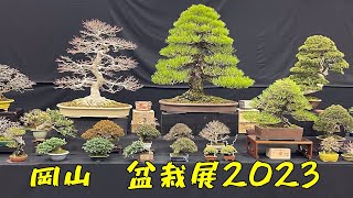 Okayama Japan Bonsai Show 2023 岡山盆栽展 [upl. by Amaso]