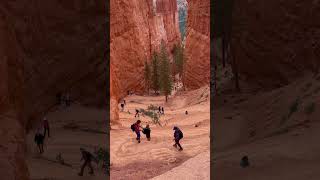 Queens Garden  Bryce National Park [upl. by Nemra]