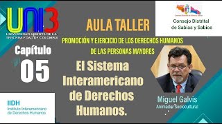 Capitulo 5 El Sistema Interamericano de Derechos Humanos [upl. by Cima]