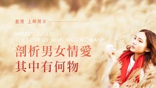 龍德 仁波切：剖析男女情愛 其中有何物Whats inside the love of man and woman [upl. by Bendick]