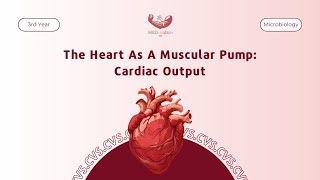 The Heart As A Muscular Pump Cardiac Output  Physiology [upl. by Aylmar]