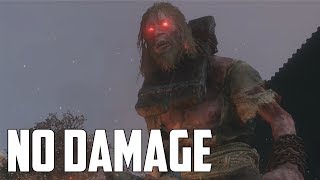 Sekiro Shadows Die Twice  All MiniBosses No Damage [upl. by Naus]