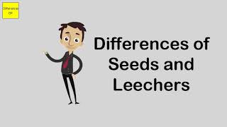 Differences of Seeds and Leechers [upl. by Gorden]