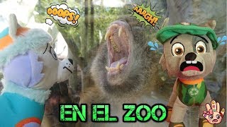 Patrulla Canina ¡LOS ANIMALES DEL ZOO HABLAN aventuras con los niños divertidos [upl. by Calondra317]