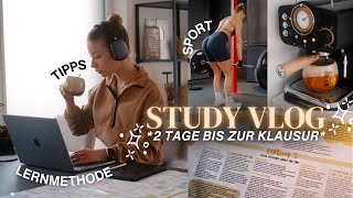 STUDY VLOG  2 Tage bis zur Klausur Tipps Methoden amp Motivation 👩🏼‍💻📚🤓 [upl. by Imhsar]