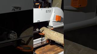 New Sawmill ireland sawmill timber logs holly woodwork machines bandsaw [upl. by Ahcsim]