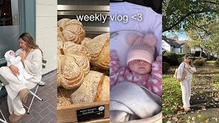 WEEKLY VLOG asos  boohoo haul  pumpkin picking  shopping  house viewings  more [upl. by Schuyler578]