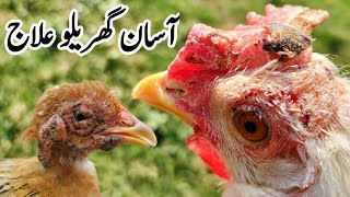 Natural Antifungal for Chickens  Antifungal Foods for Poultry  Dr ARSHAD [upl. by Manfred]