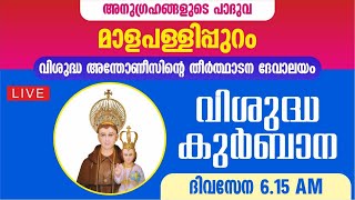 6 NOVEMBER 2024  HOLY MASS  ST ANTONYS PILGRIM CHURCH MALAPALLIPURAM [upl. by Luther]