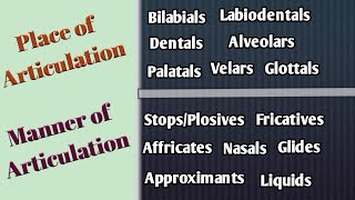 Place and Manner of Articulation in UrduHindi Articulatory Phonetics Speech Organs Speech Sounds [upl. by Annayad]