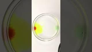 Complex reaction Science experiment Complex reaction of potassium ferrocyanide Science experimen [upl. by Fahey]