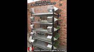 VENTA DE JAULAS PARA CUYES EN ALAMBRE GALVANIZADO [upl. by Ahsikam]