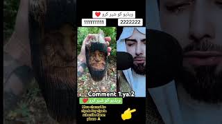 Best edit for muslims❤ 👆🏻🕋 in the world viral shorts islamic trending ytshorts youtubeshorts [upl. by Cailean]