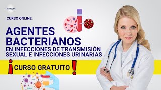 🔴 CURSO AGENTES BACTERIANOS EN INFECCIONES DE TRANSMISIÓN SEXUAL ǀ COMPLETO Y GRATIS 2024✅PARTE 2 [upl. by Sabian570]