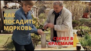 Как посадить морковь чтобы потом не прореживать [upl. by Sewel]