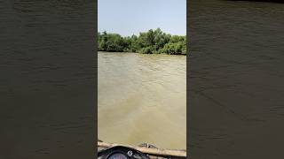 ଡଙ୍ଗା ରେ bike ନାଇକି first time 🚣bhitarkanikanationalpark bikelover odisha odiavlogodiamotovlog [upl. by Sucrad]