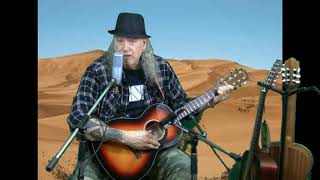 Neil Young Cowgirl in the sand cover on Fender cp60 [upl. by Akenihs]