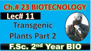 Transgenic Plant I biotechnology I CH23 I Lec 11I FSC Biology I Class 12 [upl. by Archle]