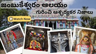 జంబుకేశ్వరం ఆలయ రహస్యాలు   Jambukeswarar Temple  Tiruchirapalli  Telugu  Velpu [upl. by Wahs]