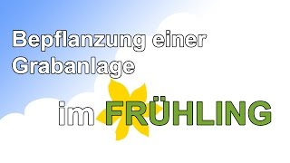 Frühlingsbepflanzung auf dem Friedhof  Tips und Tricks [upl. by Ed]