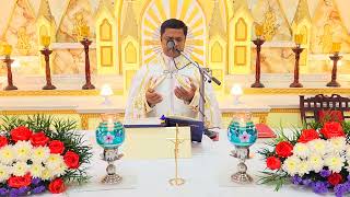 Sunday Holy Mass February 25 I 530 AM I Malayalam I Syro Malabar I Fr Bineesh Augustine [upl. by Brelje175]