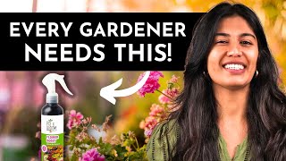 How to Start a Flower Garden For Beginners  Home Gardening [upl. by Adey]