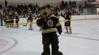 Introducing Your Boston Bruins Alumni [upl. by Htebiram736]