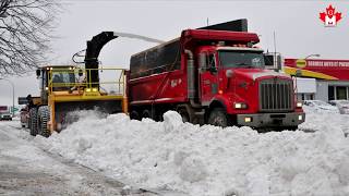 Immigrer au Canada  LImmigration et lHiver au CanadaQuébec [upl. by Lativa]