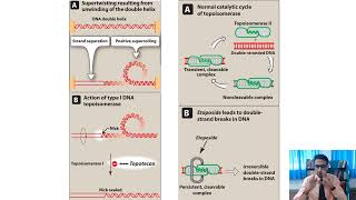 Topoisomerase 1 inhibitors anticancer [upl. by Einattirb]