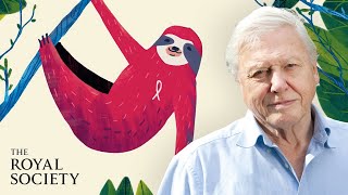 Why is biodiversity important  with Sir David Attenborough  The Royal Society [upl. by Nawoj]