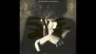 1985  Waterboys  The whole of the moon [upl. by Adiel]