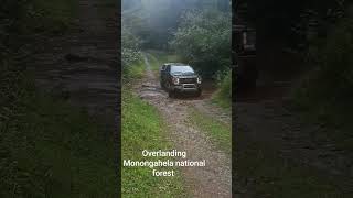 Overlanding Monongahela national forest creek crossing countryroads gmctrucks overlanding [upl. by Gearalt]