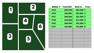 How Multi Parcel Auctions Work [upl. by Ataymik]