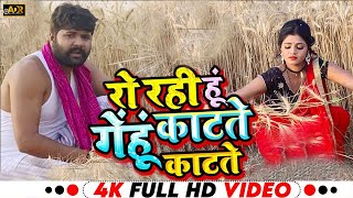 मर गयी मै गेहूं काटते काटते  Video Song  Samar Singh  Kavita Yadav Bhojpuri Chaita Songs 2024 [upl. by Akinohs389]