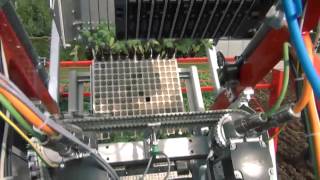 Techmek Magika Fully Automatic Transplanter with ChecchiampMagli [upl. by Htebazil132]