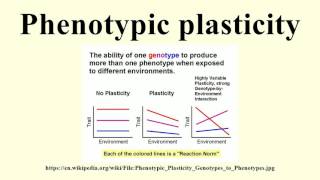 Phenotypic plasticity [upl. by Hallee]