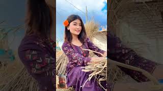 Raiya chadi ko newsong nepali song love music nepalimoviesong purnabahadurkosarangi 7seasci [upl. by Vander]