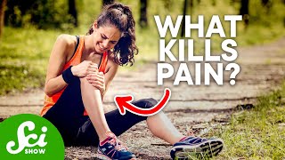 Why We Feel Pain and How We Kill it  A Look at Pain amp Painkillers [upl. by Adriane]