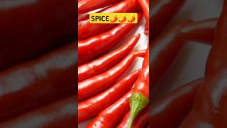 What Happens to You When You Eat Spicy Food shorts spicyfood health [upl. by Gannie]