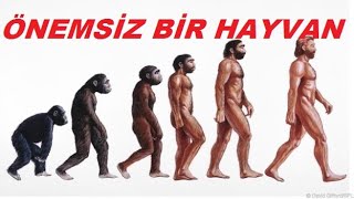 ÖNEMSİZ BİR HAYVAN SESLİ KİTAP [upl. by Call]