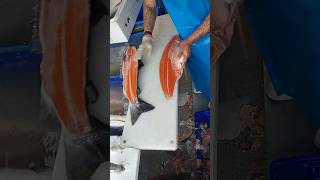 Fastest Salmon Cutter 😱 shorts fishcutting fish sashimi [upl. by Giguere]