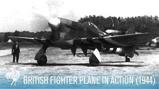 British RAF Hawker Tempest Fighter Plane in Action 1944  British Pathé [upl. by Chao753]