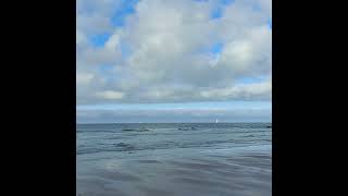 Ostend beach 27102024 oostende strand [upl. by Jordanna775]