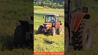 TAFE 7515 CAB in action in the fields of Bosnia amp Herzegovina [upl. by Ehcropal111]