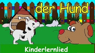 Wie macht der Hund   Kinder Lernlied  Sing mit Yleekids [upl. by Aliwt200]